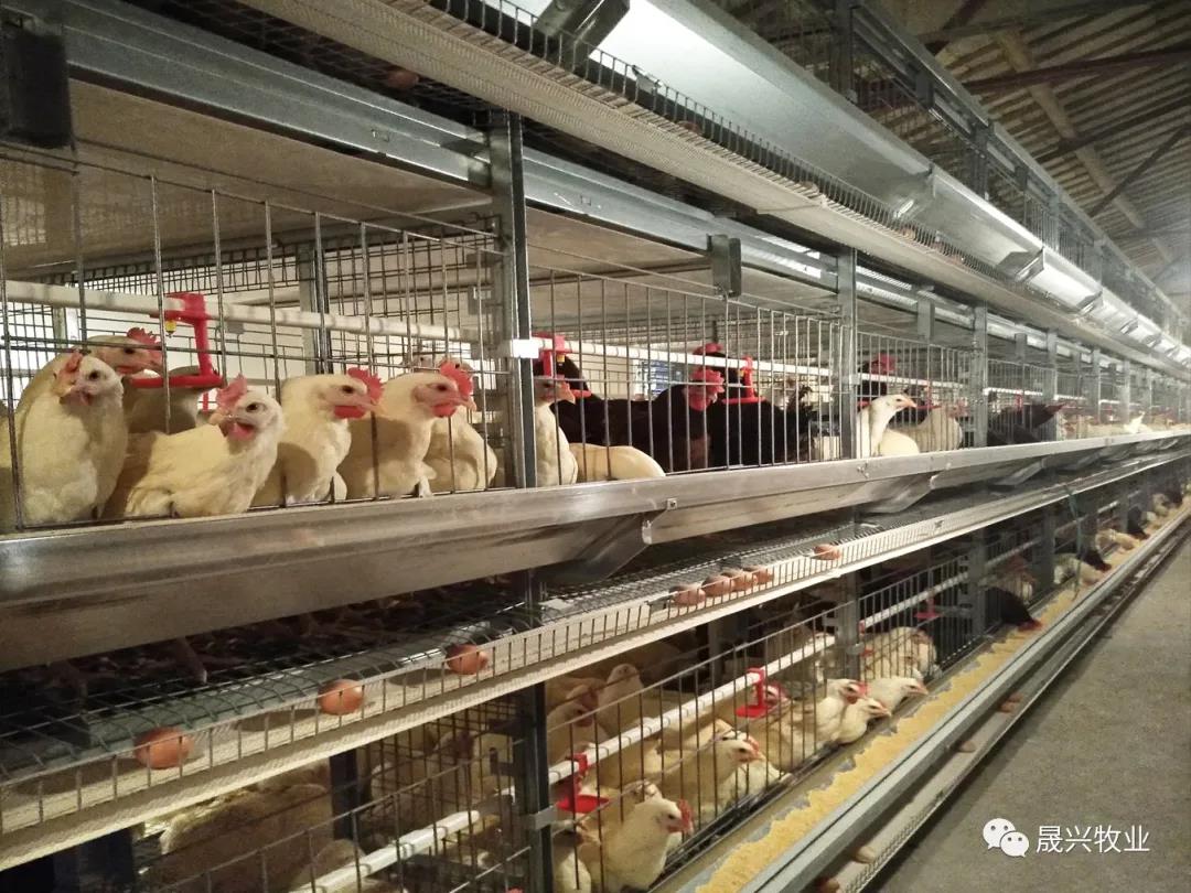 ¿Ê±ÓÎÏ·¡¤(Öйú)¼¯ÍÅ