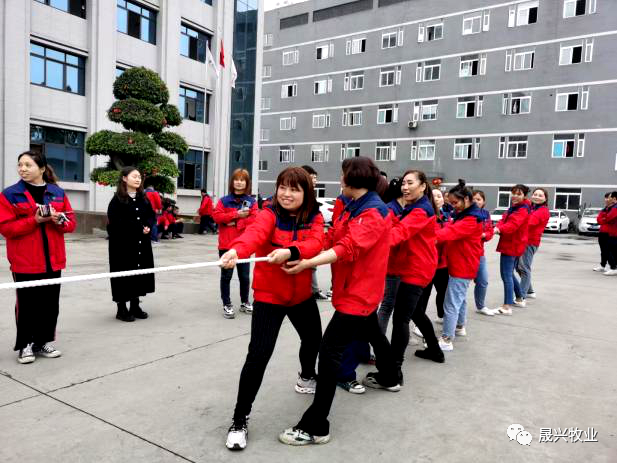 ��ʱ��Ϸ��(�й�)����