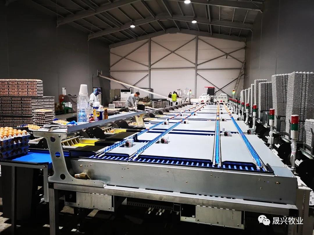 ¿Ê±ÓÎÏ·¡¤(Öйú)¼¯ÍÅ