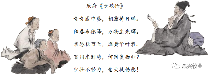 ¿Ê±ÓÎÏ·¡¤(Öйú)¼¯ÍÅ