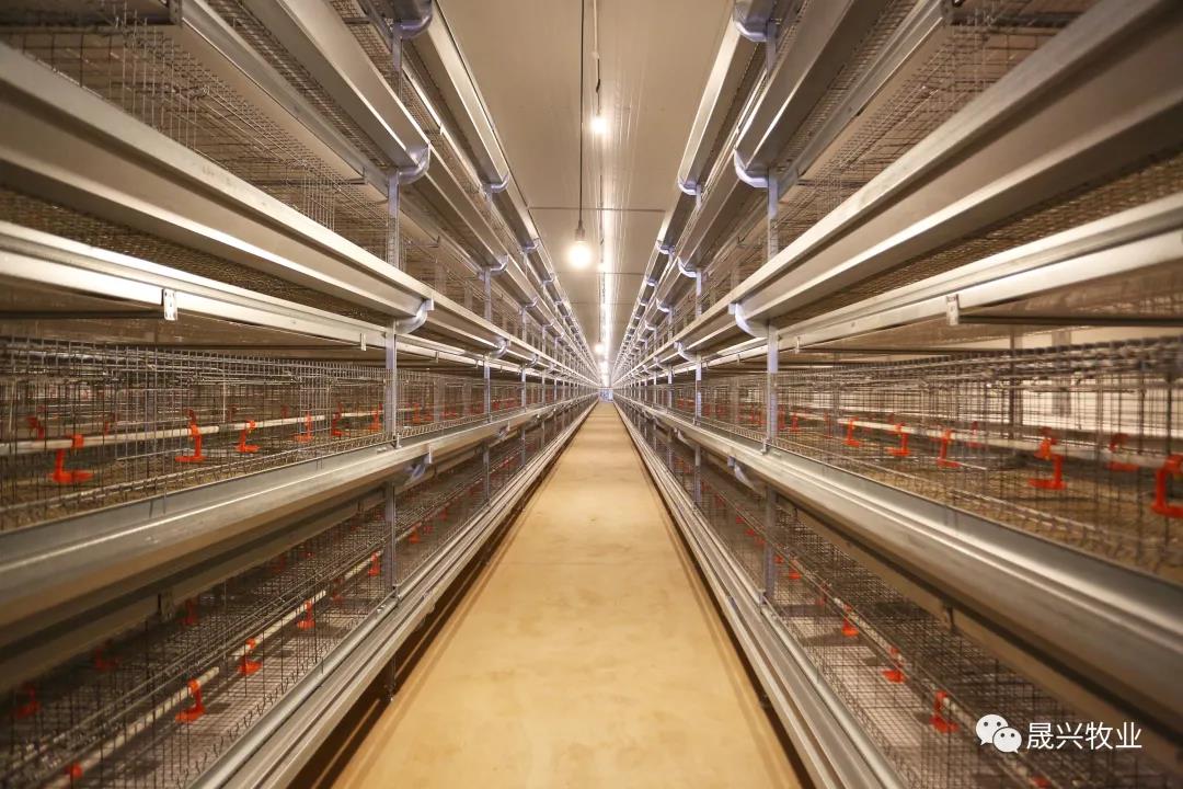 ¿Ê±ÓÎÏ·¡¤(Öйú)¼¯ÍÅ