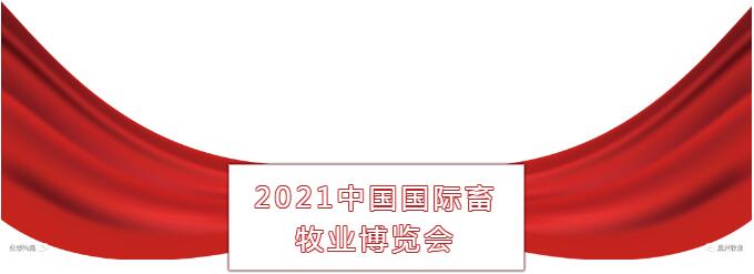 ¿Ê±ÓÎÏ·¡¤(Öйú)¼¯ÍÅ