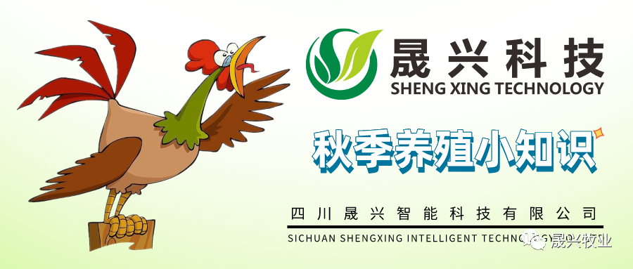 ¿Ê±ÓÎÏ·¡¤(Öйú)¼¯ÍÅ