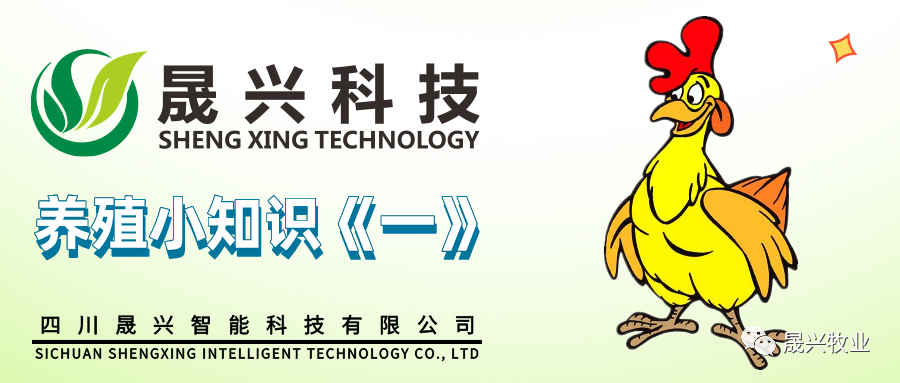 ��ʱ��Ϸ��(�й�)����