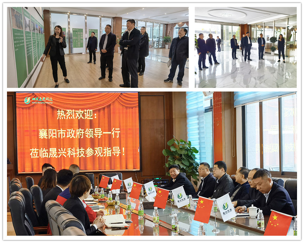 ��ʱ��ҳ����