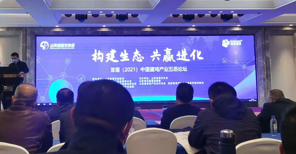 ��ʱ��Ϸ��(�й�)����