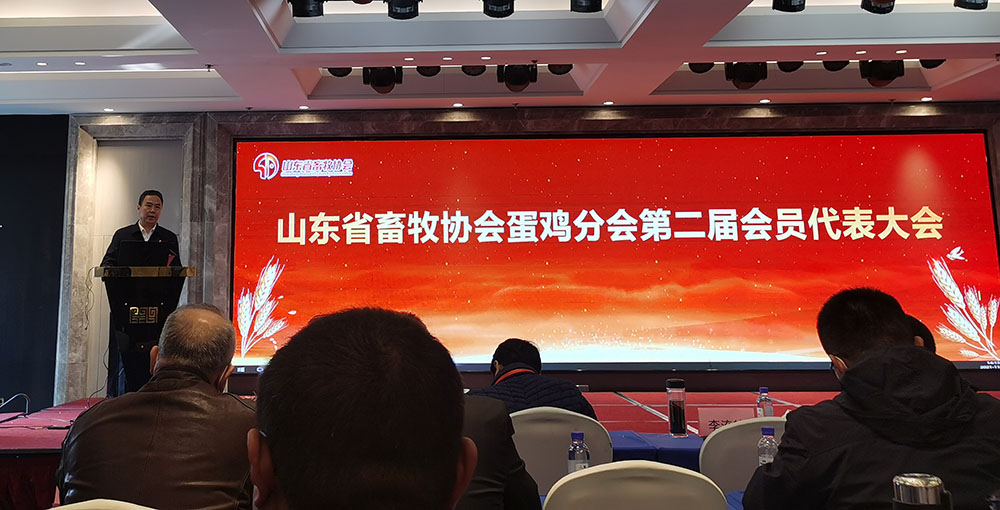 ��ʱ��Ϸ��(�й�)����