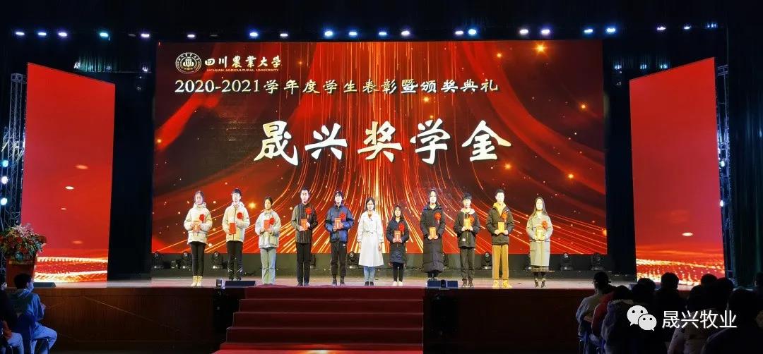 ��ʱ��Ϸ��(�й�)����