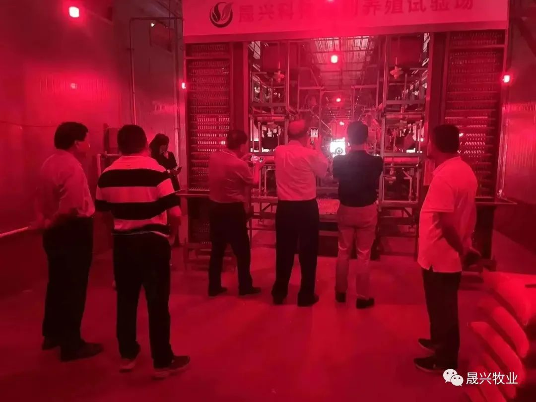 Ñø¼¦É豸 Ñø¼¦É豸