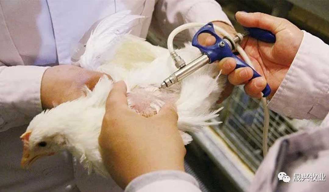 Ñø¼¦É豸 Ñø¼¦É豸