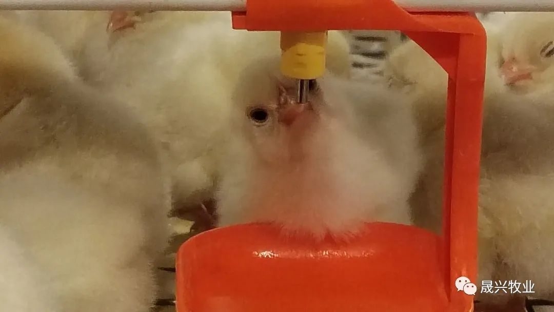 Ñø¼¦É豸 Ñø¼¦É豸