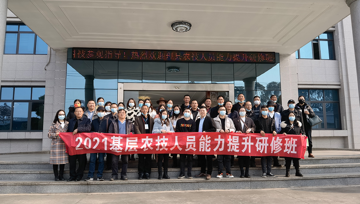 ��ʱ��Ϸ��(�й�)����