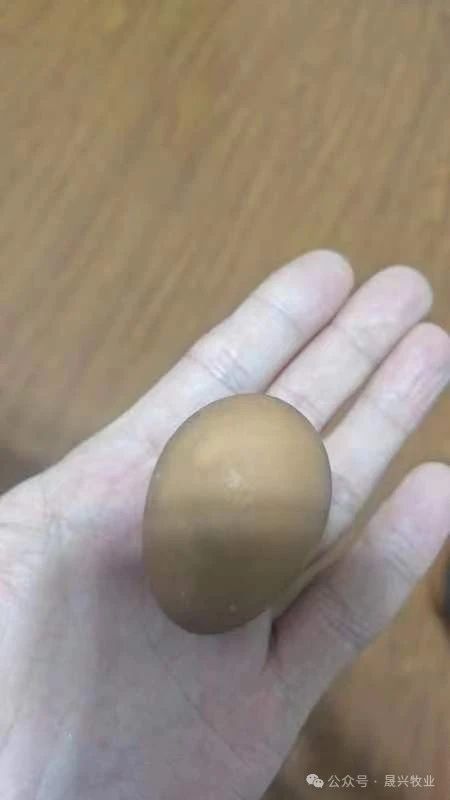 ��ʱ��Ϸ��(�й�)����