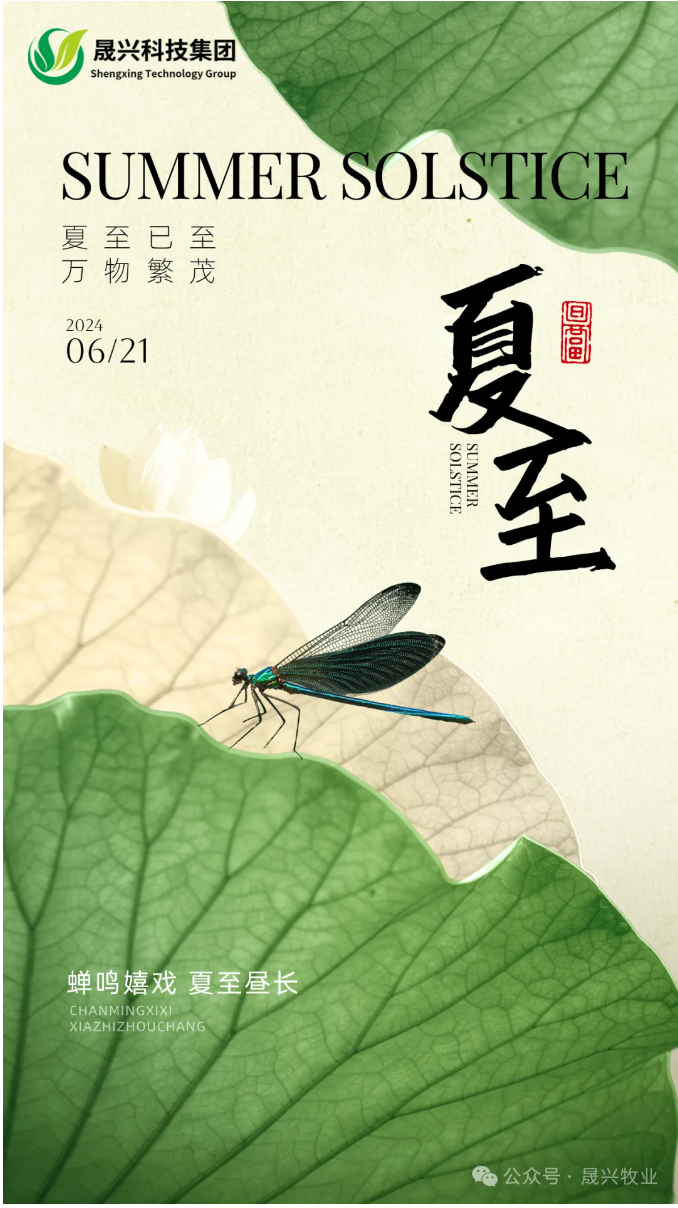 ¿Ê±ÓÎÏ·¡¤(Öйú)¼¯ÍÅ