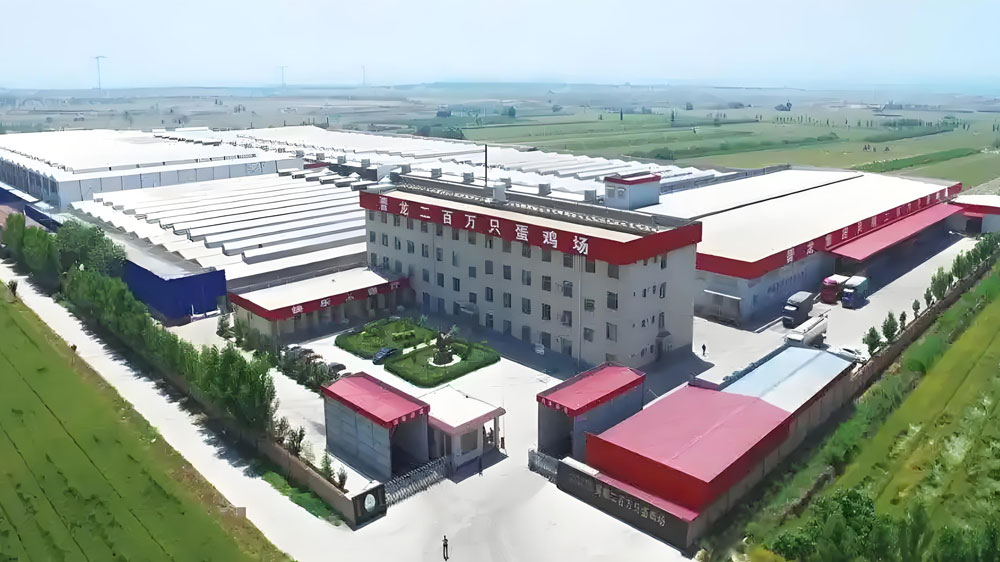 797afafdd9e27974412cdec7774ce491