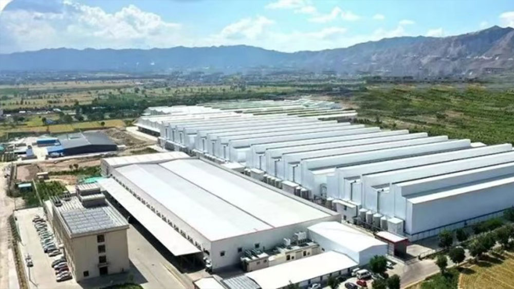 439352f99ba6c89ba024f7650e29c8d7