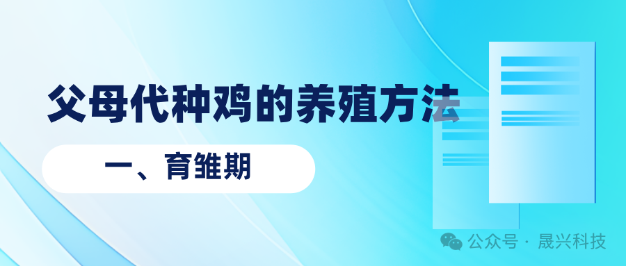 养鸡设备 养鸡设备