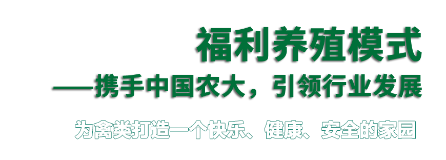 5450451cf104f0a05a0998844737fcbd